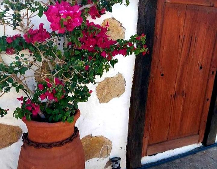 Casa Rural Alessia With Jacuzzi ,Garden & Swimming Pool Santa Cruz de Tenerife Dış mekan fotoğraf